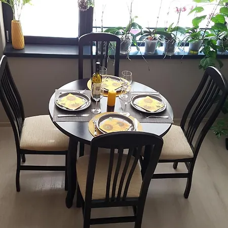Poli's Aparment Sunny Freesia Varna