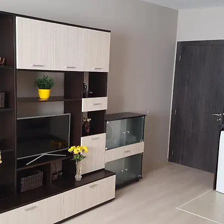 Poli's Aparment Sunny Freesia